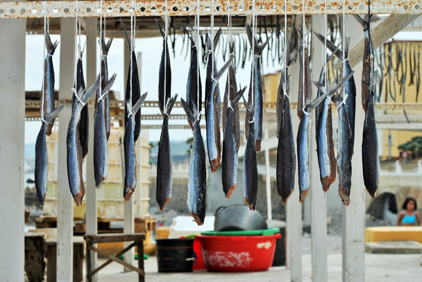 スペインのセウタ市にある魚を乾燥 - 写真・画像