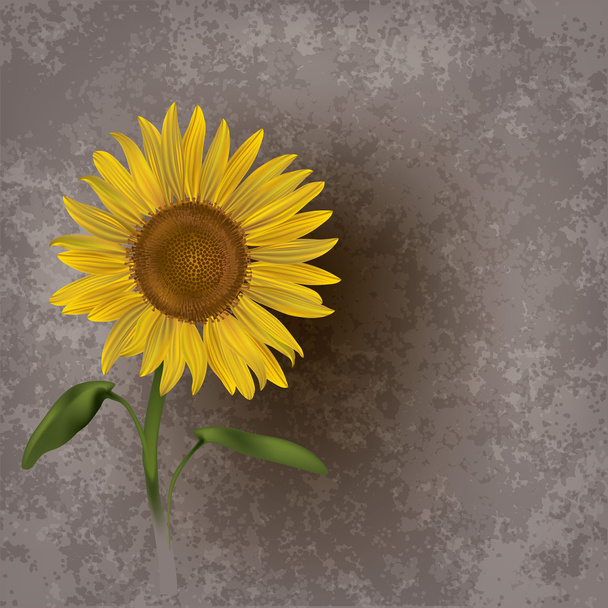 abstracte grunge floral achtergrond met zonnebloem - Vector, afbeelding