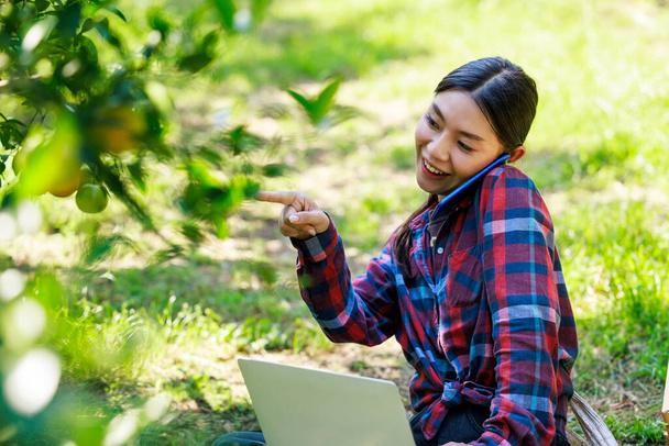Азиатская женщина сидит думая о маркетинговом плане в своем мандаринном саду и позвонить с клиентами о торговле tnagerines с планшетом, молодая девушка умная владелец мандаринный сад Концепция - Фото, изображение