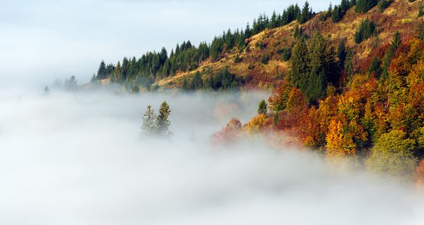 Autumn landscape - Фото, изображение