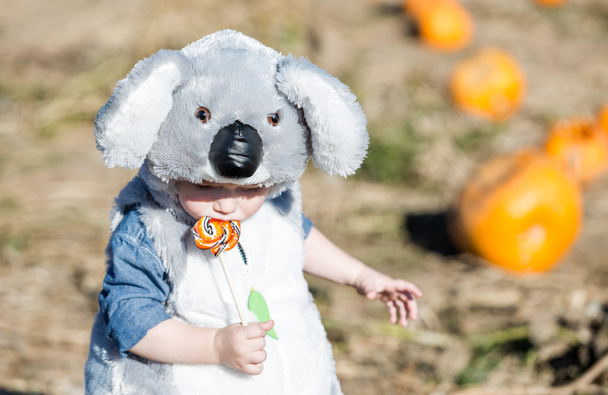 Niño lindo disfrazado de Halloween
 - Foto, imagen