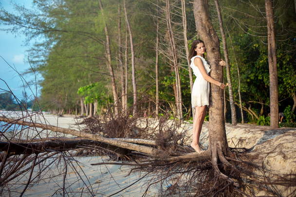 donna abbraccio un albero sulla spiaggia tropicale
 - Foto, immagini