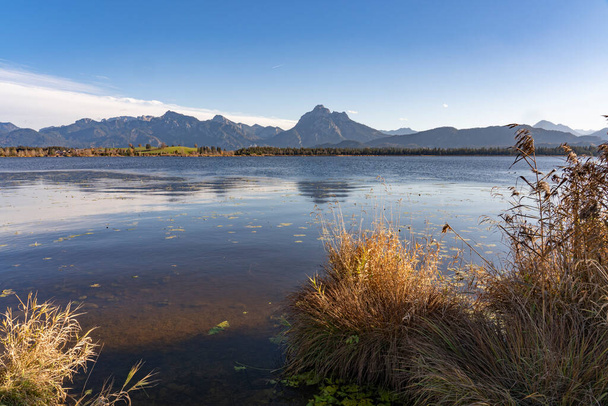 landscape in autumnal atmosphere at lake Weissensee in the eastern Allgaeu near City of Fuessen with Suling summit in background, Bavarian Alps Germany - 写真・画像