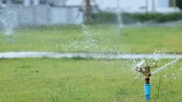 Wassersprenger im Garten Feld, grünes Gras Hintergrund. - Filmmaterial, Video
