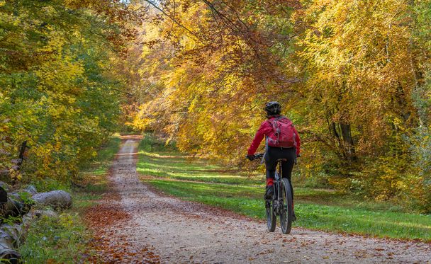 simpática mulher idosa ativa, montando sua mountain bike elétrica nas florestas de outono coloridas de ouro do Alb da Suábia, Baden-Wuerttemberg, Alemanha - Foto, Imagem