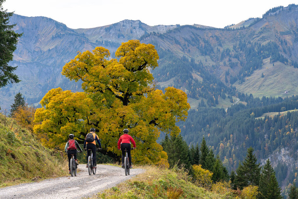 trzech szczęśliwych starszych dorosłych, jeżdżących na rowerach górskich w jesiennej atmosferze gór Bregenz Wald w pobliżu Mellau, Vorarlberg, Austria - Zdjęcie, obraz