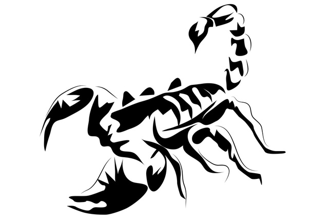 scorpion - Vector, imagen