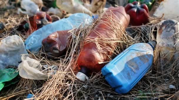 A föld sok szórt műanyag palackkal - Felvétel, videó