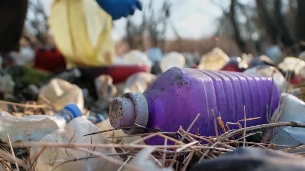Człowiek zbierający rozrzucone plastikowe butelki z ziemi w naturze - Materiał filmowy, wideo