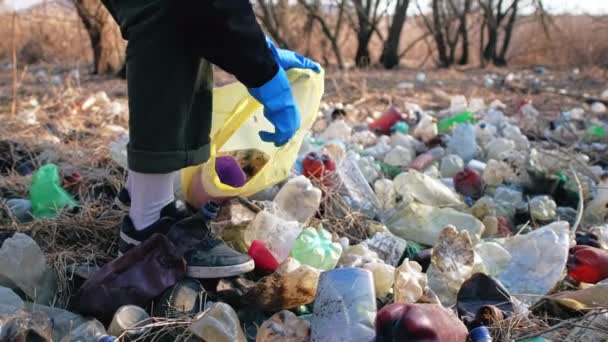 Mies kerää hajallaan muovipulloja maasta luonnossa - Materiaali, video