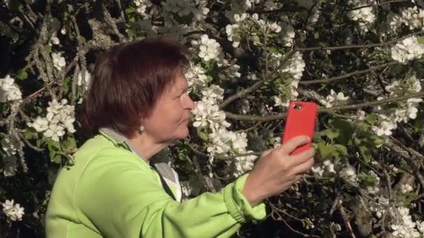 Primer plano de una dama tomando selfies en un huerto de manzanas. Hermosos manzanos - Imágenes, Vídeo