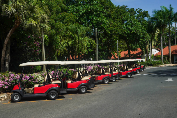 LA ROMANA, DOMINICAN REPUBLIC - JUNE 10, 2021: Golf carts at the  famous Teeth of the Dog Golf Course of Casa de Campo design by Pete Dye. Scenic 18-hole golf course, including only in the world seven seaside holes - Fotografie, Obrázek