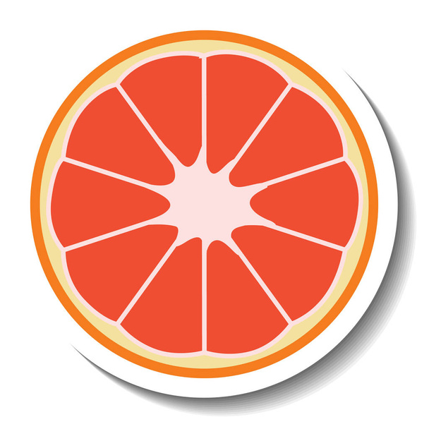 Sliced grapefruit in cartoon style illustration - Διάνυσμα, εικόνα