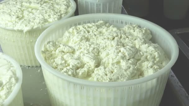Käsemacher gießt die Sauermilch in Plastikformen, um den Käse zu formen - Ein Käsemacher bereitet eine Form von Käse zu - Prozess der Herstellung von hausgemachtem Käse in der Werkstatt - Käseherstellung - Filmmaterial, Video