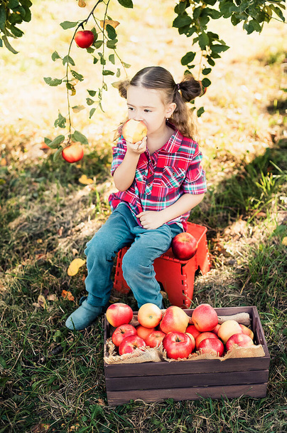 Girl with Apple in the Apple Orchard - Φωτογραφία, εικόνα