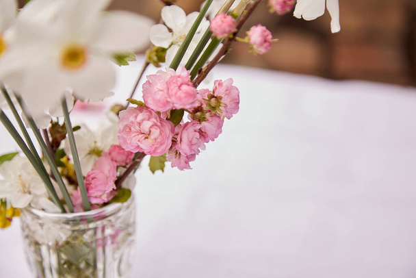 Jarní jemná váza s větvičkou meruňkového květu a narcisy. Dámský den, pozvání, Den matek, svatba, koncept narozeninového přání. Naturecore koncept. Estetický koncept chalupy. Kopírovat prostor - Fotografie, Obrázek