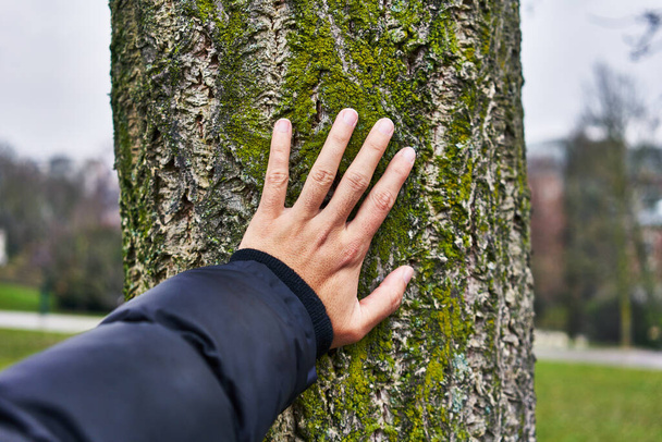  Hand of man touching tree at park - Photo, Image