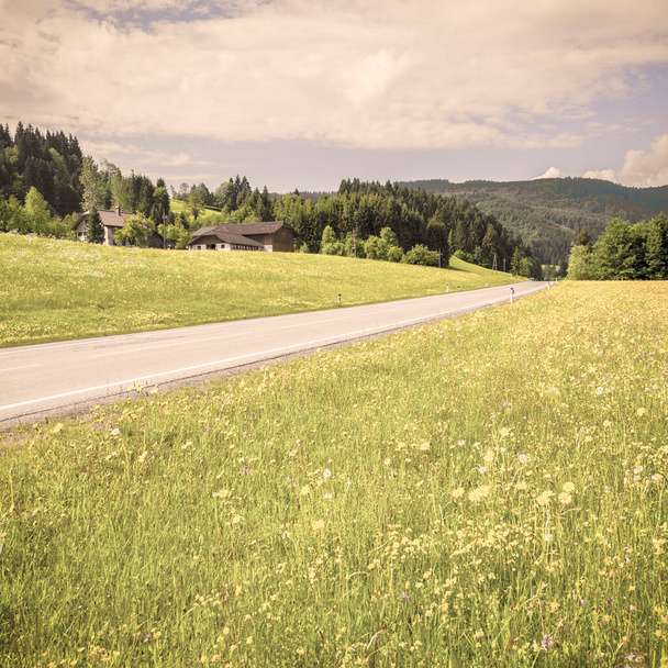 Aszfaltozott út Ausztriában erdőkkel, mezőkkel, legelőkkel és rétekkel. Vintage stílus  - Fotó, kép