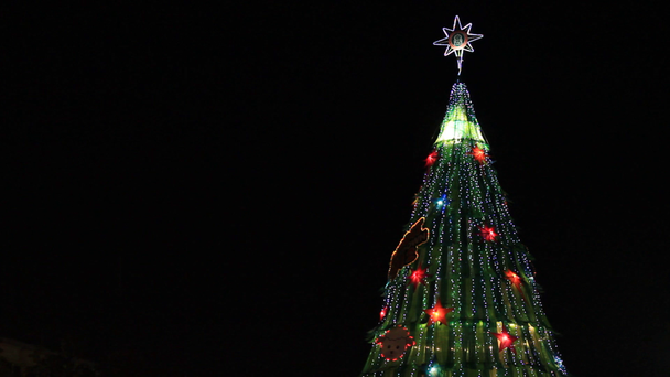 Χριστουγεννιάτικο δέντρο φως, θαμπάδα ενισχύσεων ήσσονος εστίασης - Πλάνα, βίντεο