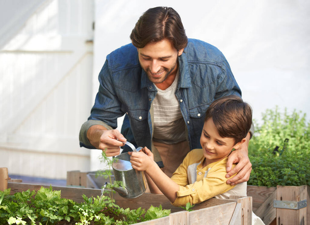 Growing their own herb garden. Shot of a father and son watering the plants in their herb garden. - Photo, Image