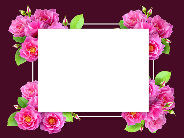 Arrangement of beautiful roses. Flower roses frame on pink pastel background. Mothers day, Valentines Day, Birthday Greeting card. - Photo, image