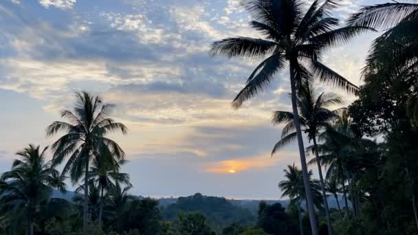 timelapse d'un magnifique coucher de soleil avec vue sur la jungle et la mer - Séquence, vidéo