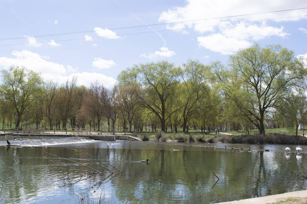 Landscape of a lake and river in spring. - Zdjęcie, obraz