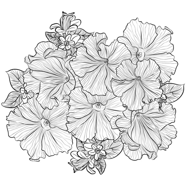 Flower bouquet with petunias line art - Wektor, obraz
