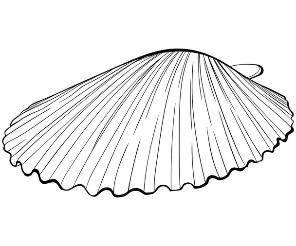 Scallop shell side view line art - Вектор,изображение