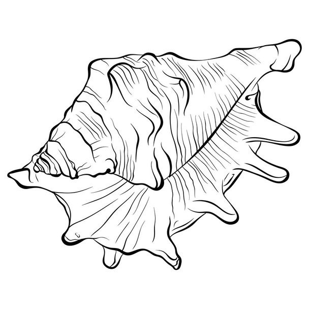 Spiked seashell arbitrary shape top view line art - Vector, Image