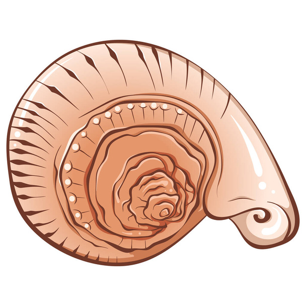 Spiral küçük deniz kabuğu rengi - Vektör, Görsel