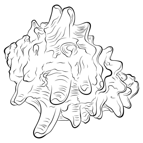 Spiralny kolczasty muszla boczna widok linii sztuki - Wektor, obraz