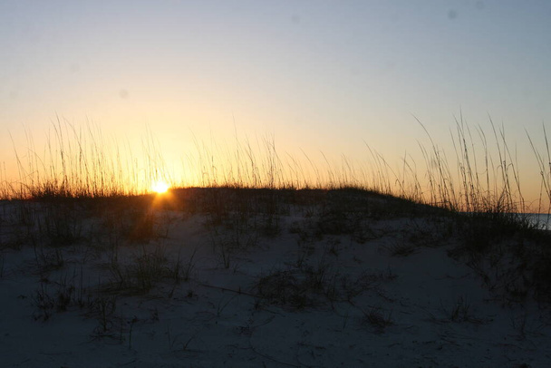 Gulf Shores Sand Dunes на світанку. Сонце розмиває небо кольорами..  - Фото, зображення