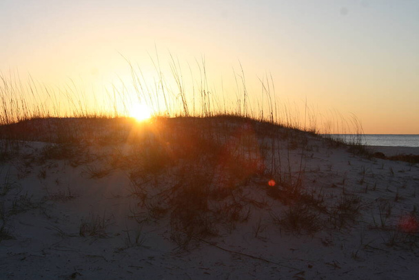 Gulf Shores Sand Dunes napkeltekor. A nap színnel borítja be az eget..  - Fotó, kép