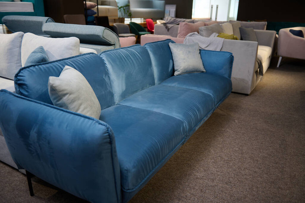 Krásná minimalistická stylová modrá sametová sedačka se světle šedými polštáři, vystavená v prodeji v prodejně nábytku. Výstava měkkého nábytku v prodejně nábytku - Fotografie, Obrázek