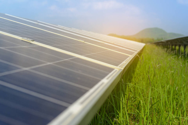 Background of Photovoltaic Cell Farm or Solar Panels Field, eco friendly and clean energy. - 写真・画像