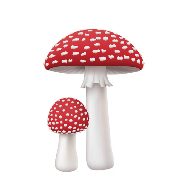 Amanita houba, realistická podzimní muškarie muškarní. Houby s červenou čepicí. Symbol podzimu - Vektor, obrázek