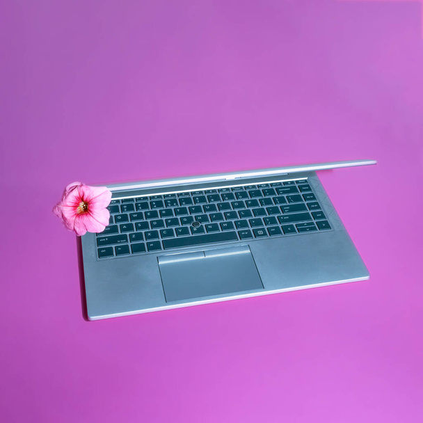 Laptop met licht op een paarse achtergrond. - Foto, afbeelding