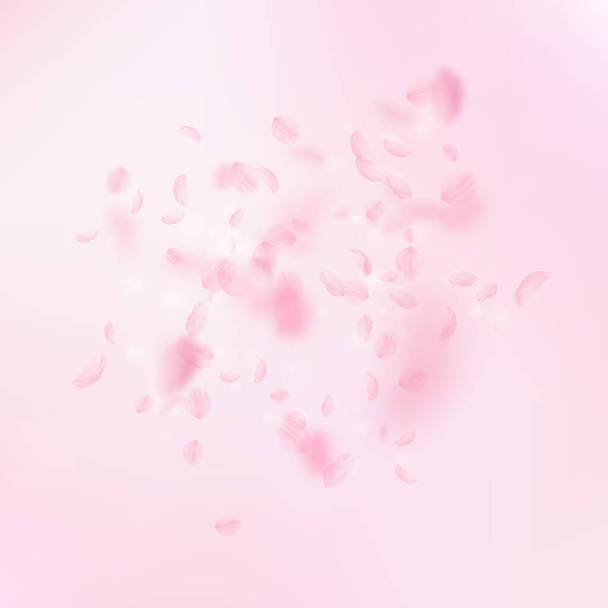 Sakura petals falling down. Romantic pink flowers explosion. Flying petals on pink square background. Love, romance concept. Emotional wedding invitation. - Foto, Imagem