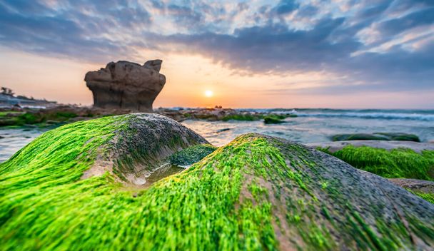 Rocky beach and green moss in sunrise sky at a beautiful beach in central Vietnam - Foto, Imagen