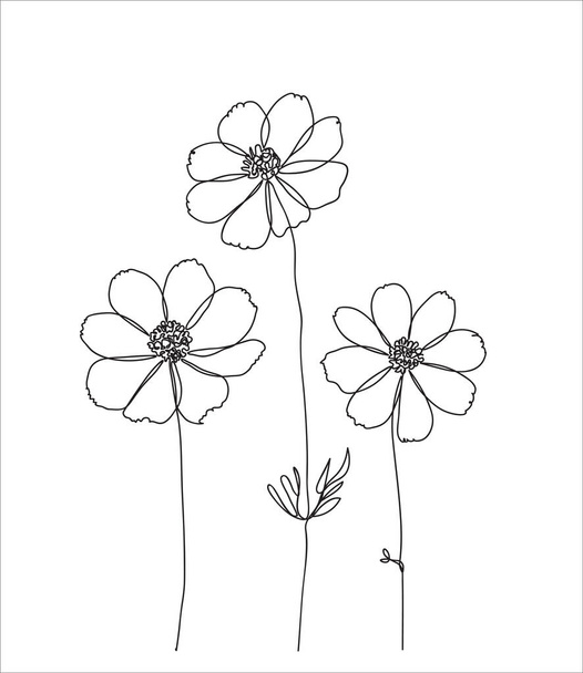Abstract Daisies one line drawing on white background. One-line drawing. Continuous line. Vector Eps10 - Vecteur, image