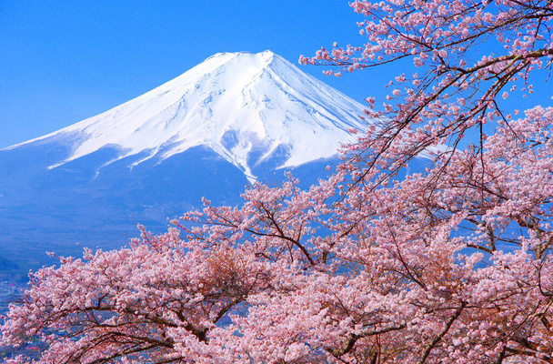 Flores de cerezo y monte Fuji desde el parque Fujimi Kotoku en la ciudad de Fujiyoshida Yamanashi Japón 04 / 10 / 2022 - Foto, Imagen