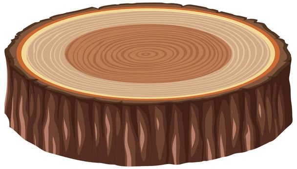 Анатомия иллюстрации ствола дерева - Вектор,изображение
