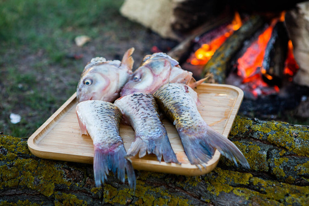 開かれた火の上に用意された魚汁。釜の中で開かれた火の上で魚汁を調理する。ハイキングや釣りでの料理 - 写真・画像