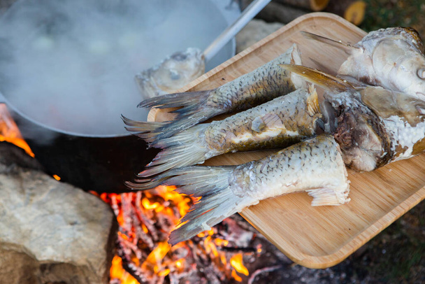Soupe de poisson préparée sur un feu ouvert. Cuire la soupe de poisson sur un feu ouvert dans une bouilloire. Cuisine en randonnée tourisme et pêche - Photo, image