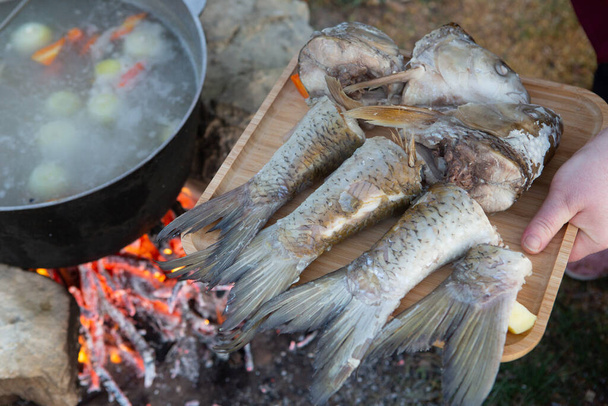 Kalakeitto valmistetaan avotulen ääressä. Kalakeittoa avotakan ääressä kattilassa. Ruoanlaitto vaellus matkailu ja kalastus - Valokuva, kuva