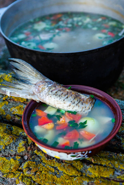 Zupa rybna przygotowana nad otwartym ogniem. Gotowanie zupy rybnej nad otwartym ogniem w czajniku. Gotowanie w turystyce pieszej i wędkarstwie - Zdjęcie, obraz