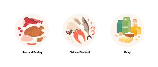 Food illustration collection. Vector flat design of various meat, fish, seafood and dairy product symbol in circle frame isolated on white background. - Vector, Image