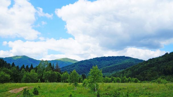 Panoramisch uitzicht op de Karpaten bedekt met groen gras en bos op een zomerse zonnige dag - Foto, afbeelding