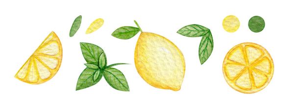 Conjunto de limón acuarela. Linda mano dibujada con frutas. - Foto, Imagen